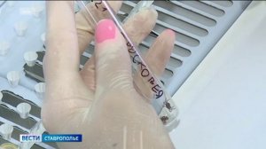 Ставропольцы все чаще жалуются на укусы клещей