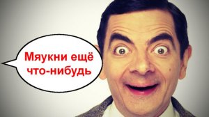 Мяукни ещё что-нибудь _ Мошенники звонят по телефону