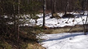 Пошла вода из пещеры Ледяной Сказ.