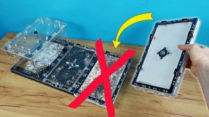 Тропические муравьи прогрызли гипс! Нужно срочно менять модуль