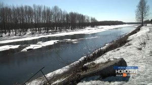 От молодых деревьев и кустарников остались только пеньки