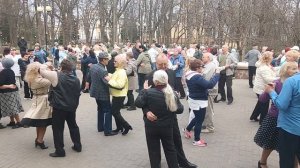 Сирень....... 28.03.26 Гомель парк Луначарского 🥰💫