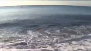 1. Биография Владыки Зосимы. Часть 1-я. Крестный путь.