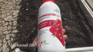 Ранневесенняя обработка сада