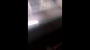 Смотрю смешные видосик с котиками