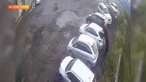 В ДВУХ ОХОТУГОДЬЯХ КАМЧАТКИ ПЛАНИРУЮТ ОТСТРЕЛ БУРЫХ МЕДВЕДЕЙ • НОВОСТИ КАМЧАТКИ