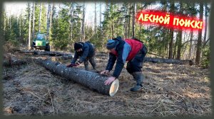 СЕЗОН ПОИСКА "КРАСНОГО ТРАКТОРА" ОТКРЫТ!!!