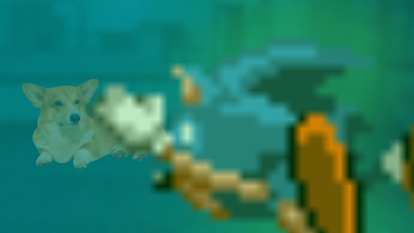 КОРЖИК VS САРК ФИНАЛ! Корги Коржик Волосатая Сосиска