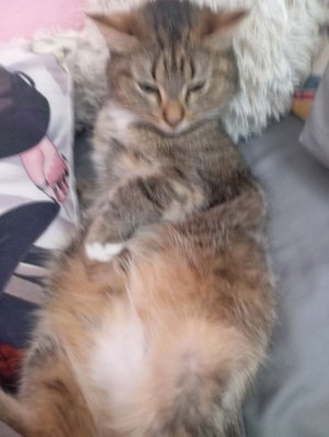 утренняя рутина