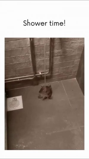 топ олдовский мемасик