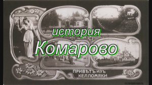 История  Комарово