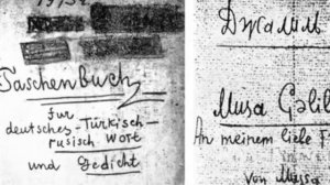 Михайлов Дмитрий