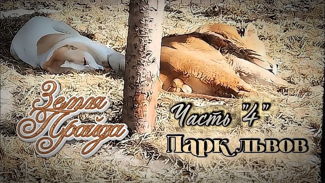 Зоопарк #Земля_Прайда. Парк Львов. Часть «4»