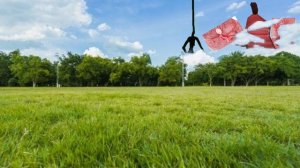 Сиренаголовые🔊 против мясной курицы🥩