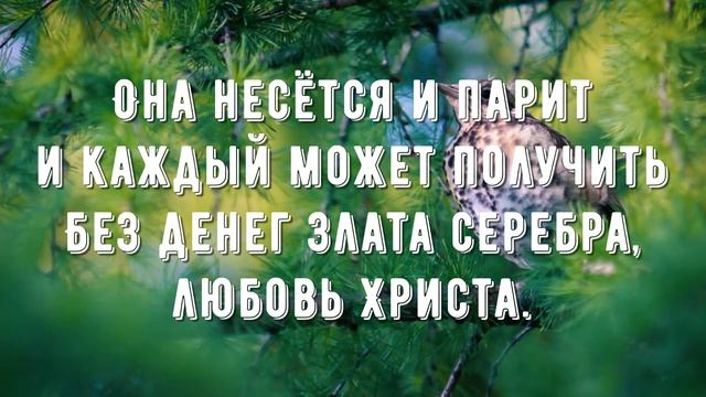 Мы каждый день встречаемся вновь - минус мой 2