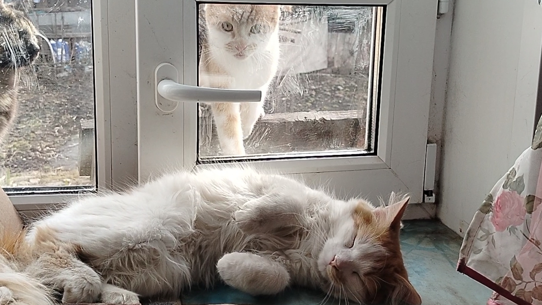 Я сплю и пусть весь мир подождёт.