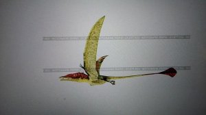 летающие ящеры