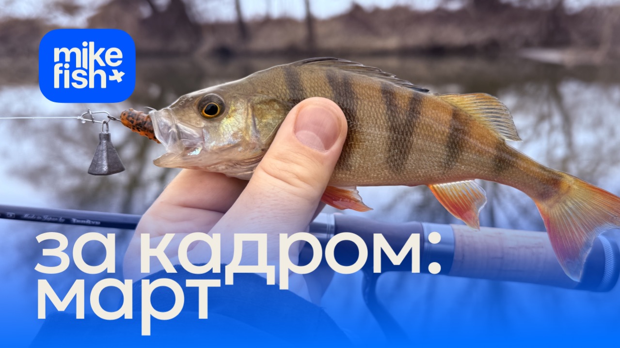 За кадром: рыбалки в марте 2026