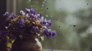 Радуюсь жизни