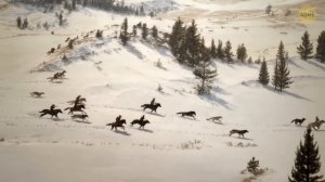 Они выпустили миллионы кроликов в пустыню, посмотрите, что произошло далее