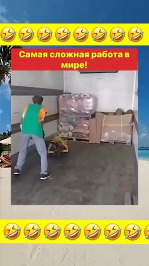 Видео от Департамент Вирусного Контента | ДВК