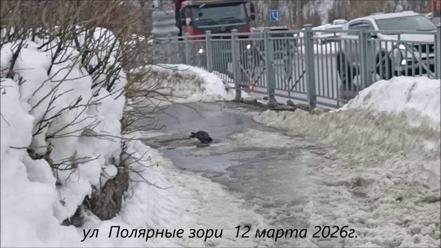 Мурманск. Весна 2026г.