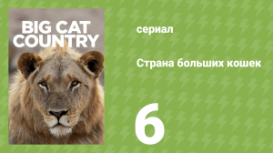 Страна больших кошек 6 серия (документальный сериал, 2020)