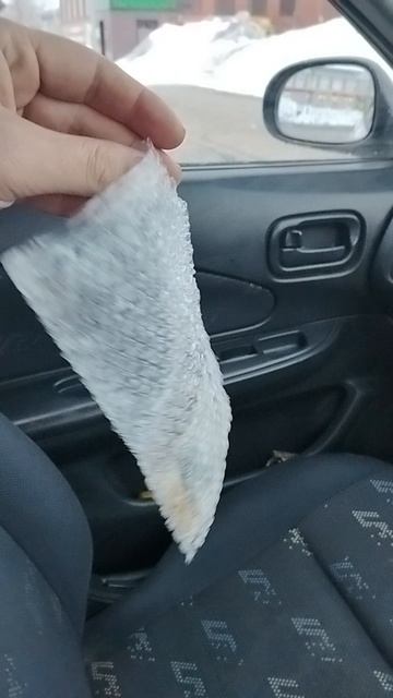 Это деньги за проезд...