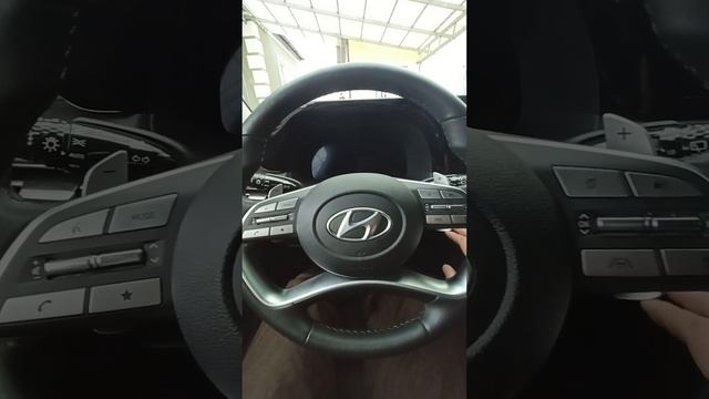 Хундай Палисад.mp4