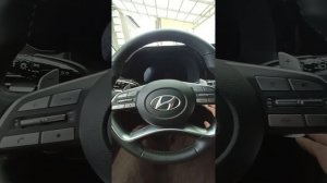 Хундай Палисад.mp4