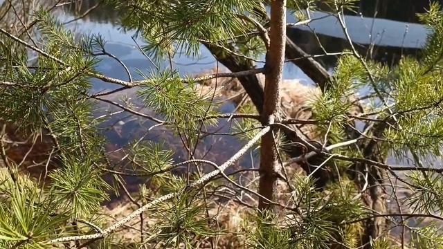 Столкновение реальностей