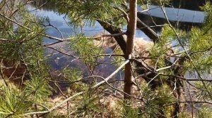 Столкновение реальностей