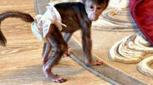 Это НАДО ВИДЕТЬ! Николь показывает мне что памперс ей нужно поменять❤️