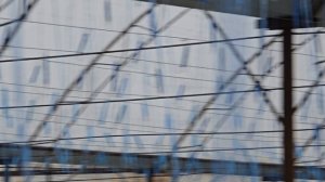 Томат Пинк Маргари на кокосе, раствор в одной бочке.