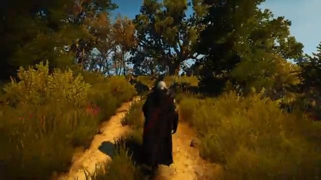 Geralt Walking Through Velen - The Witcher 3 - Music & Ambience