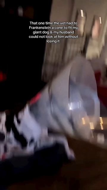 Огромные собаки Подборка