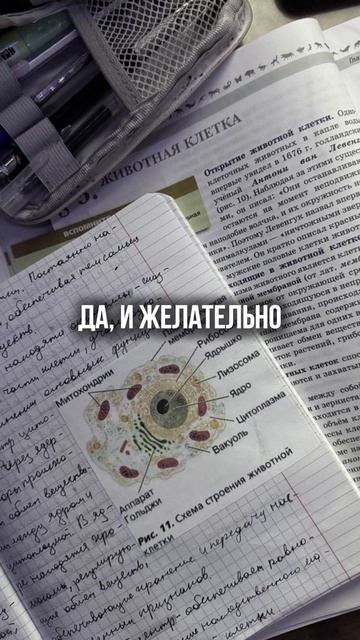 📚Конспекты для по билогии с которыми ты наконец начнешь решать вторую часть. Ссылка в профиле