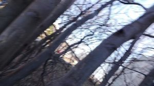 маньяк убил бомжа Олега???