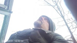 Исполняю послушание маме - переношу саженцы