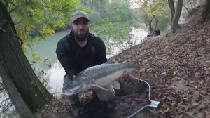 наловил  ЖИРНЫХ УСАЧЕЙ в речке.река СУНЖА