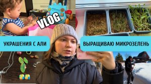 ВЛОГ 167. РАЗВЛЕКАЮ ДЕТЕЙ. ПРИЕХАЛИ НА ДАЧУ. УКРАШЕНИЯ С АЛИЭКСПРЕСС. ВЫРАЩИВАЮ МИКРРОЗЕЛЕНЬ