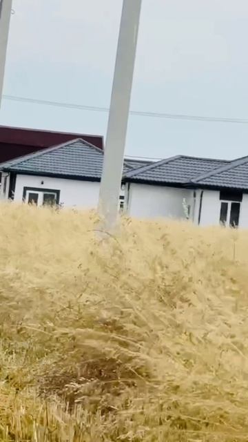 Земельные участки в Кучугурах на Азовском море по отличной цене 🔥