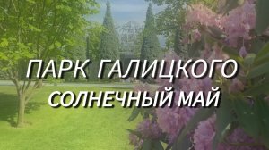 Парк Галицкого весной. Карпы Кои, фонтан «Инфинити» и цветущие рододендроны✅