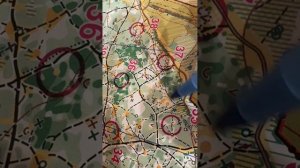 31.03.26 лесной выбор в Жулебино