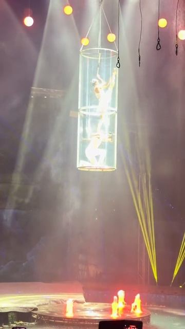 Цирк на воде