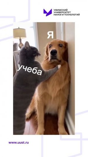 Учеба в УУНиТ в самом разгаре!