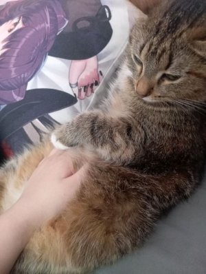 утренняя рутина