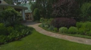 Растения и простанство в саду