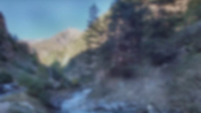 Дует ветер (О. Митяев). Александр Д.