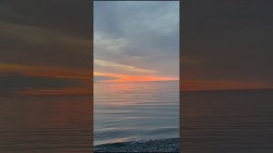 Абхазия. Цитрусовый совхоз. Алахадзы. Пицунда. Фрукты. Закат